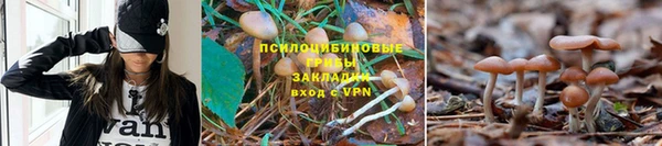 СК Липки