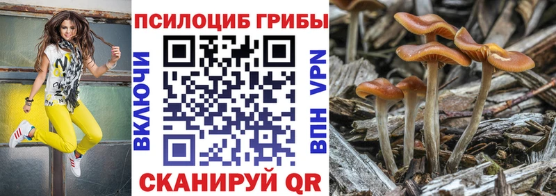 Псилоцибиновые грибы мухоморы  kraken сайт  Липки  где найти наркотики 